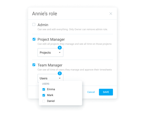 Team manager role